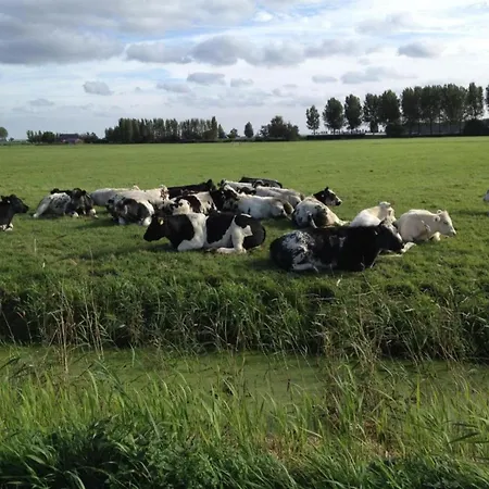 Tatil Evi By Water Near Rotterdam