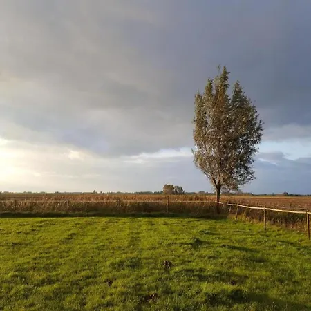 Tatil Evi By Water Near Rotterdam *