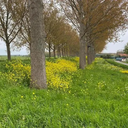 By Water Near Rotterdam * Simonshaven