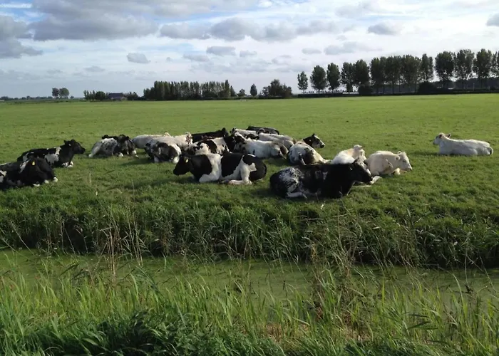 Vakantiehuis By Water Near Rotterdam
