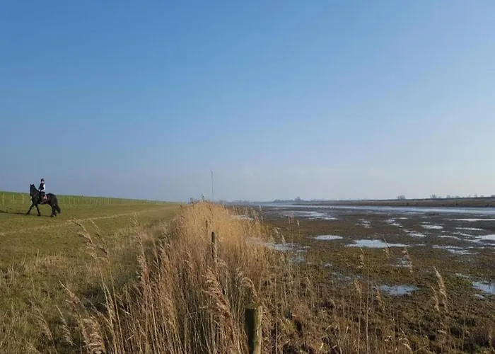 Vakantiehuis By Water Near Rotterdam Simonshaven