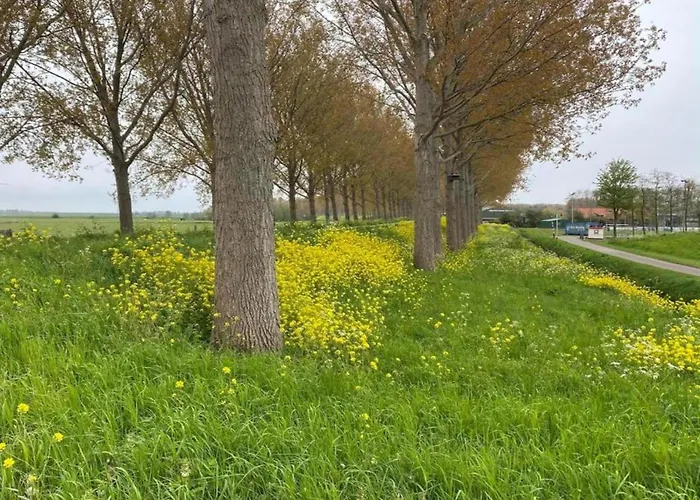 By Water Near Rotterdam * Simonshaven
